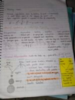 10 biology notes - Image 4