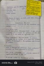 CLASS 9 FUNDAMENTAL UNIT OF LIFE - Image 2