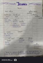 CLASS 9 TISSUES - Image 2