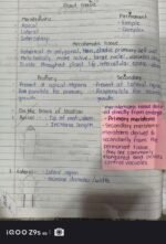 CLASS 9 TISSUES - Image 3