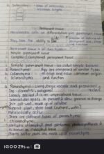 CLASS 9 TISSUES - Image 4