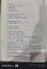 CLASS 9 TISSUES - Image 5