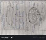 CLASS 10 CONTROL AND COORDINATION - Image 6