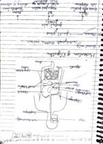 Class 10 Biology chapter 1 life process - Image 11