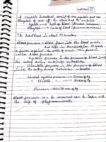 Class 10 Biology chapter 1 life process - Image 36