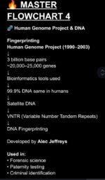 12th Biology High Weightage Chapters Revision Notes | Flowcharts + Important Questions | CBSE - Image 3