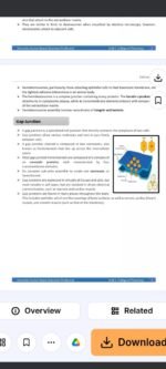 Cell notes - Image 2