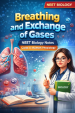 Breathing and Exchange of Gases – NEET Biology Notes | Class 11 Human Physiology