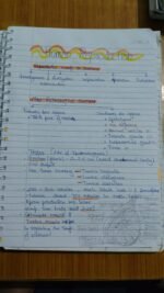 Class 12 ch-2 Human Reproduction - Image 2