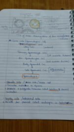 Class 12 ch-2 Human Reproduction - Image 3