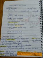 Class 12 ch-2 Human Reproduction - Image 6