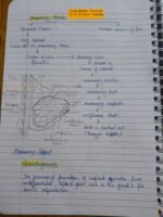 Class 12 ch-2 Human Reproduction - Image 8