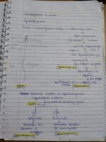 Class 12 ch-2 Human Reproduction - Image 9