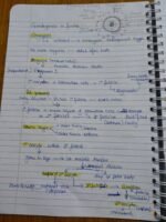 Class 12 ch-2 Human Reproduction - Image 10