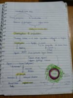 Class 12 ch-2 Human Reproduction - Image 13