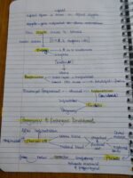 Class 12 ch-2 Human Reproduction - Image 14