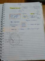 Class 12 ch-2 Human Reproduction - Image 15