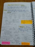 Class 12 ch-2 Human Reproduction - Image 16