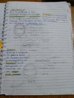 Class 12 ch-2 Human Reproduction - Image 17