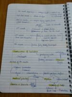 Class 12 ch-2 Human Reproduction - Image 18