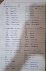 French IRREGULAR VERBS - Image 2
