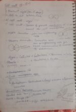 Class 11 biology chapter 8 for easy understanding - Image 8