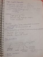 Class 11 biology chapter 8 for easy understanding - Image 9