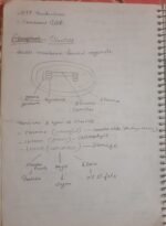 Class 11 biology chapter 8 for easy understanding - Image 10
