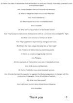 +1 zoology animal kingdom - Image 6