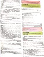 Class 10th imp questions of Chapter 1 - Image 11