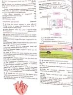 Class 10th imp questions of Chapter 1 - Image 12