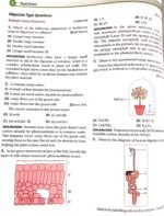 Class 10th imp questions of Chapter 1 - Image 2