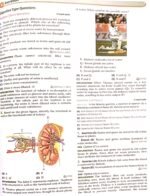 Class 10th imp questions of Chapter 1 - Image 13