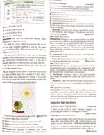 Class 10th imp questions of Chapter 1 - Image 3