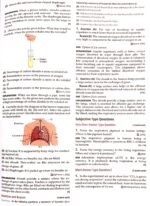 Class 10th imp questions of Chapter 1 - Image 7