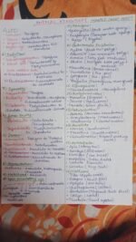 Animal Kingdom Example sheet - Image 2