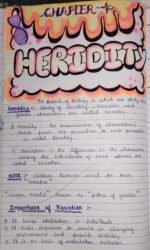 "Class - 10th Chapter Heredity Notes" - Image 2