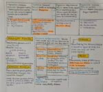 BIOLOGICAL CLASSIFICATION CLASS 11TH SHORT NOTES - Image 3