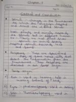 CBSE Class 10th Biology Chapter 6 Control and Coordination NCERT Notes - Image 2