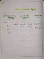 CBSE Class 10th Biology Chapter 6 Control and Coordination NCERT Notes - Image 7