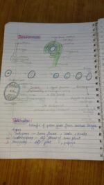 Class 12 ch-1 sexual reproduction in flowering plants - Image 3