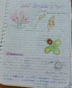 Class 12 ch-1 sexual reproduction in flowering plants - Image 2