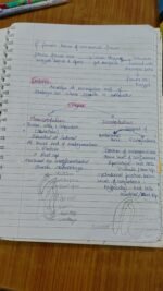 Class 12 ch-1 sexual reproduction in flowering plants - Image 6