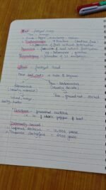 Class 12 ch-1 sexual reproduction in flowering plants - Image 7