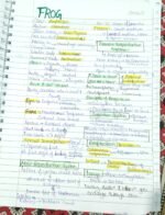 Frog class 11 short notes - Image 2