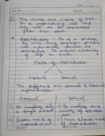 CBSE Class 10th Biology Chapter 7 How Do Organisms Reproduce NCERT Notes - Image 3