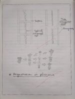 CBSE Class 10th Biology Chapter 7 How Do Organisms Reproduce NCERT Notes - Image 6