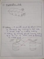 CBSE Class 10th Biology Chapter 7 How Do Organisms Reproduce NCERT Notes - Image 7