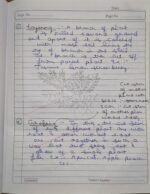 CBSE Class 10th Biology Chapter 7 How Do Organisms Reproduce NCERT Notes - Image 8