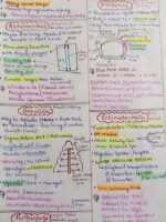 Animal Kingdom - Short notes covering all NCERT lines and examples - Image 2